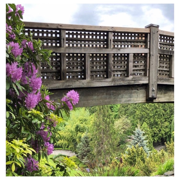 Meet your Posher, Anmol - Picture 1 of 1